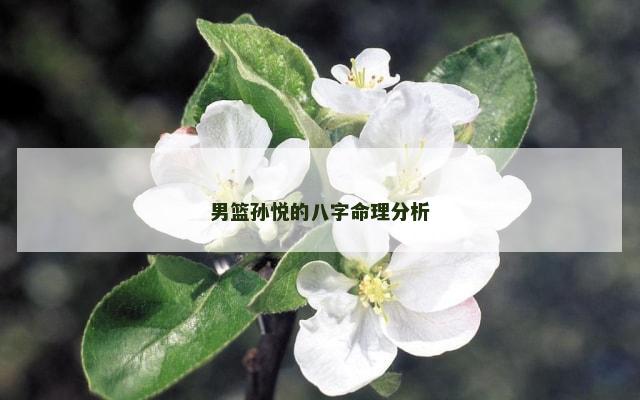 男篮孙悦的八字命理分析