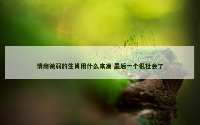 情商微弱的生肖用什么来凑 最后一个很社会了