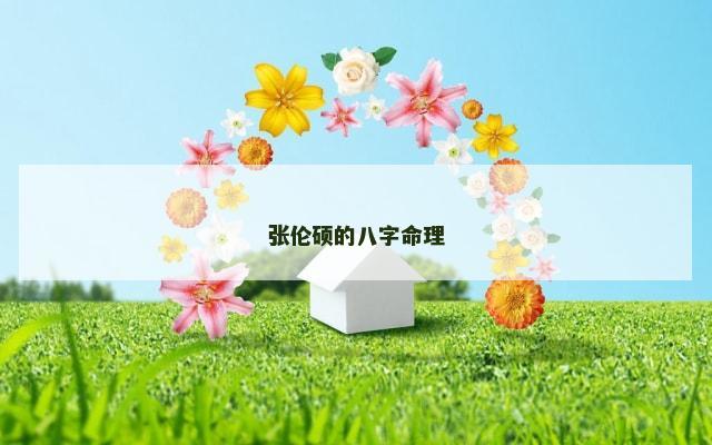 张伦硕的八字命理