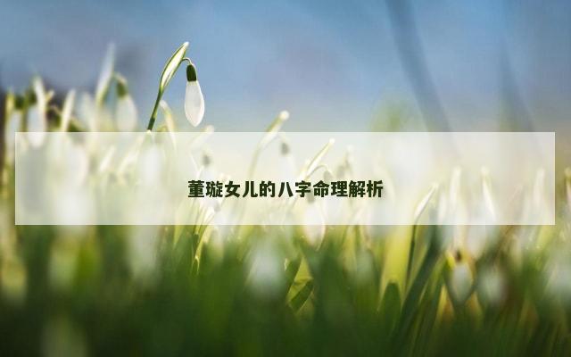 董璇女儿的八字命理解析