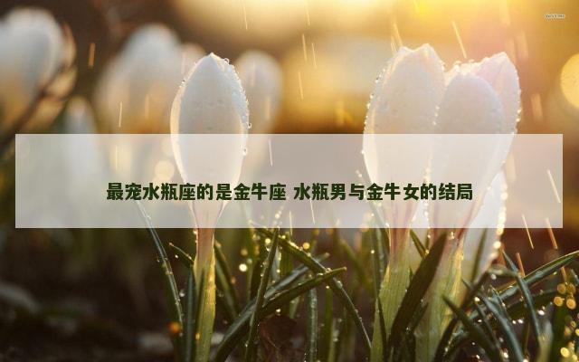 最宠水瓶座的是金牛座 水瓶男与金牛女的结局