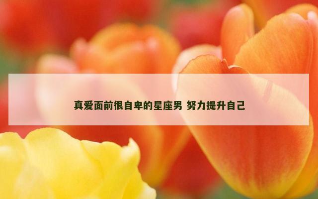 真爱面前很自卑的星座男 努力提升自己