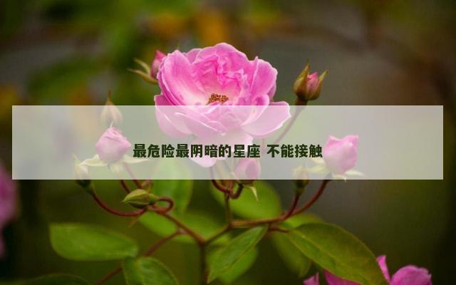 最危险最阴暗的星座 不能接触