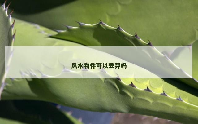 风水物件可以丢弃吗