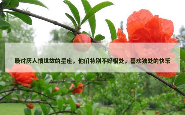 最讨厌人情世故的星座，他们特别不好相处，喜欢独处的快乐