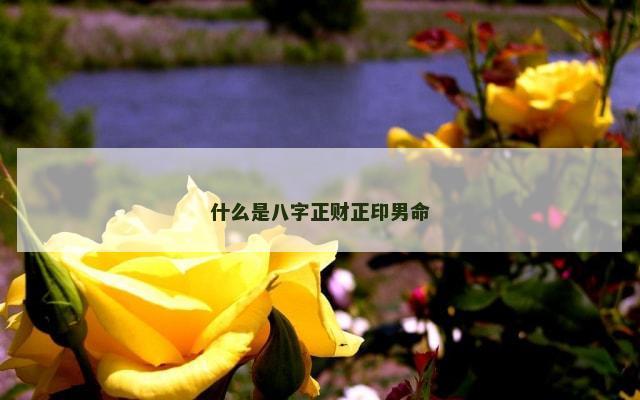 什么是八字正财正印男命