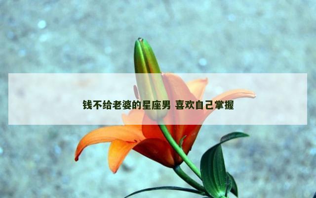 钱不给老婆的星座男 喜欢自己掌握