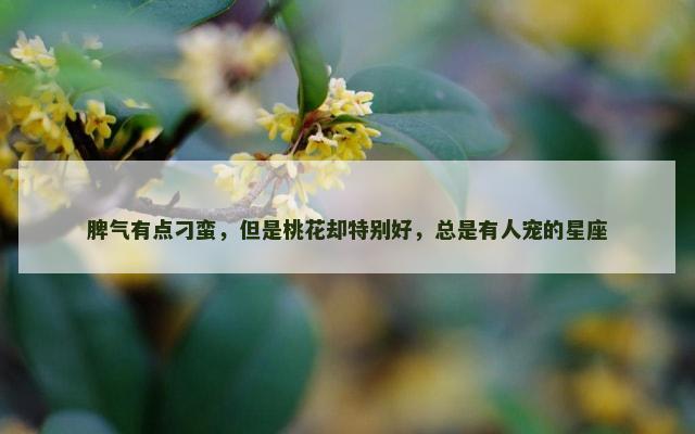 脾气有点刁蛮，但是桃花却特别好，总是有人宠的星座