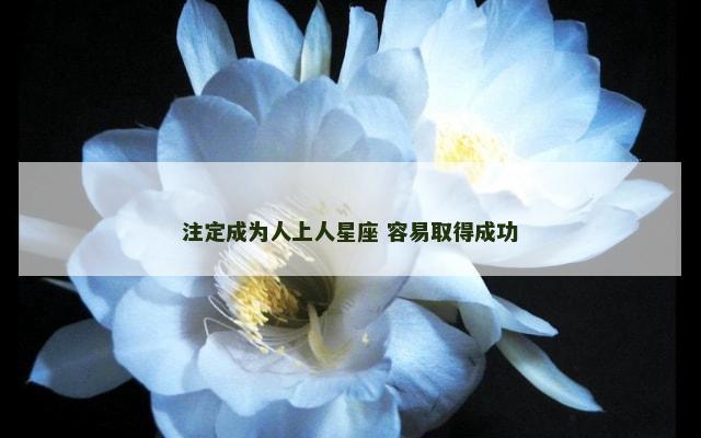 注定成为人上人星座 容易取得成功