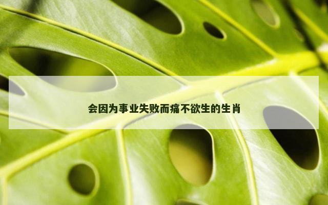 会因为事业失败而痛不欲生的生肖
