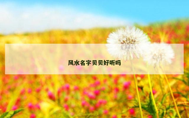 风水名字贝贝好听吗