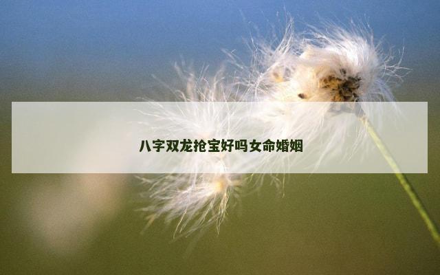 八字双龙抢宝好吗女命婚姻
