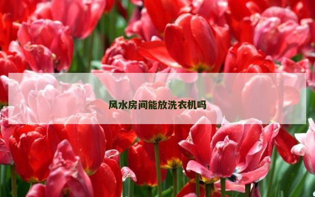 风水房间能放洗衣机吗