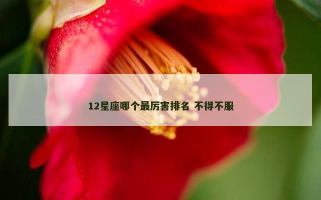 12星座哪个最厉害排名 不得不服