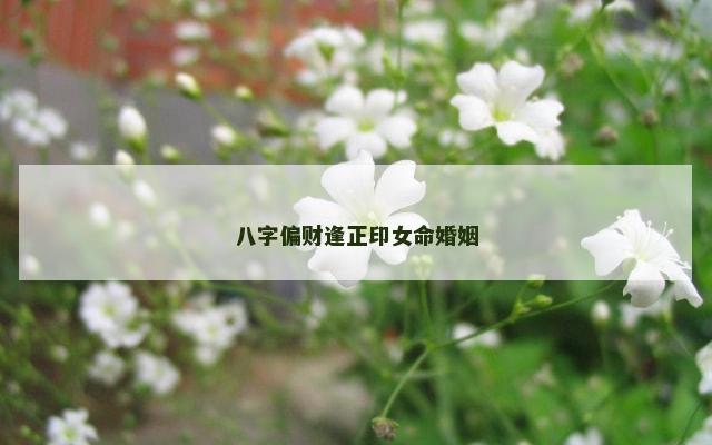 八字偏财逢正印女命婚姻