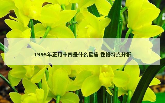 1995年正月十四是什么星座 性格特点分析
