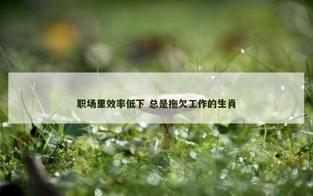 职场里效率低下 总是拖欠工作的生肖