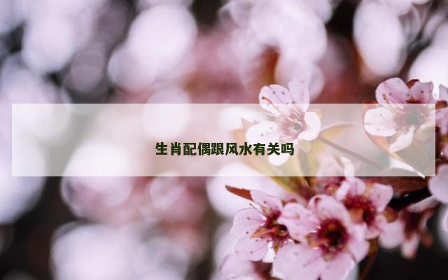 生肖配偶跟风水有关吗