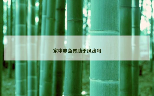 家中养鱼有助于风水吗