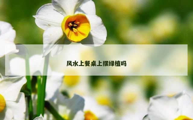 风水上餐桌上摆绿植吗