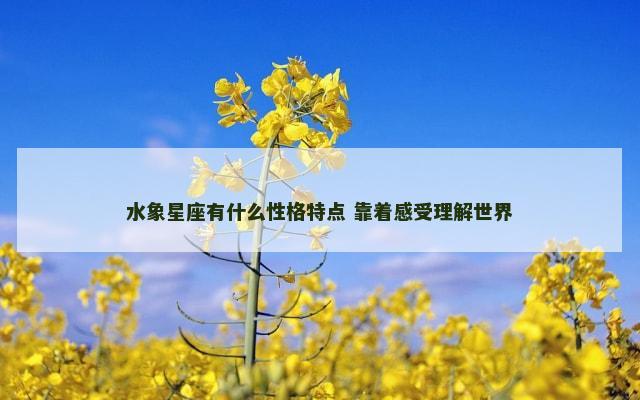 水象星座有什么性格特点 靠着感受理解世界