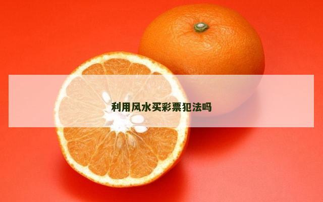 利用风水买彩票犯法吗