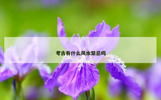 考古有什么风水禁忌吗