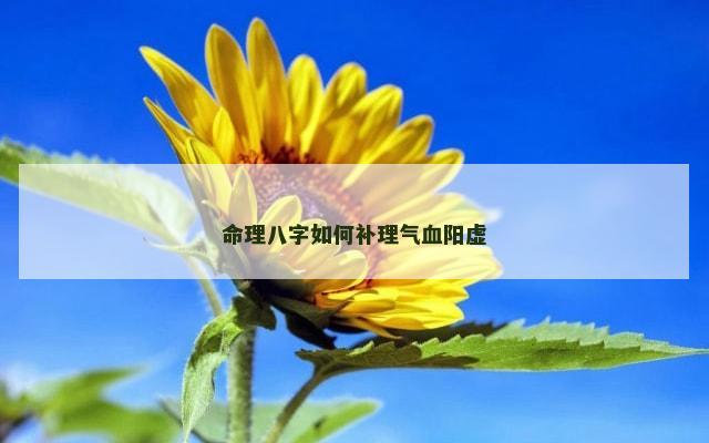 命理八字如何补理气血阳虚