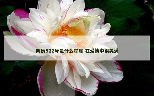 阴历922号是什么星座 在爱情中很美满