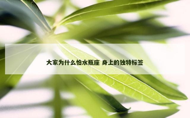 大家为什么怕水瓶座 身上的独特标签
