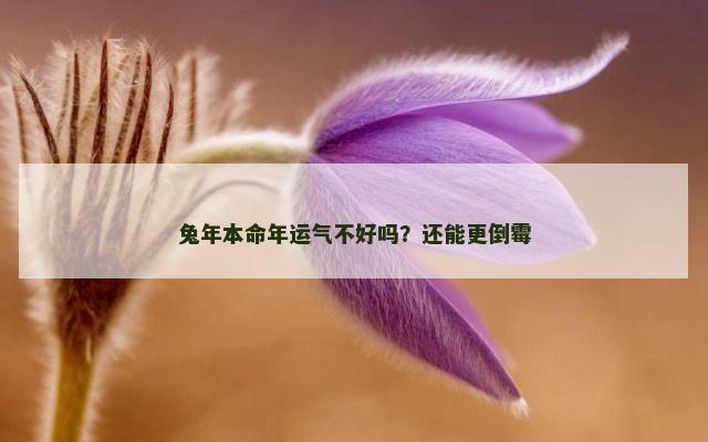 兔年本命年运气不好吗？还能更倒霉