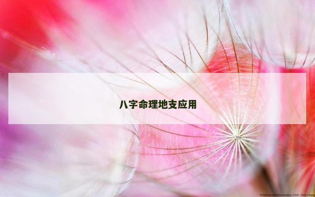八字命理地支应用