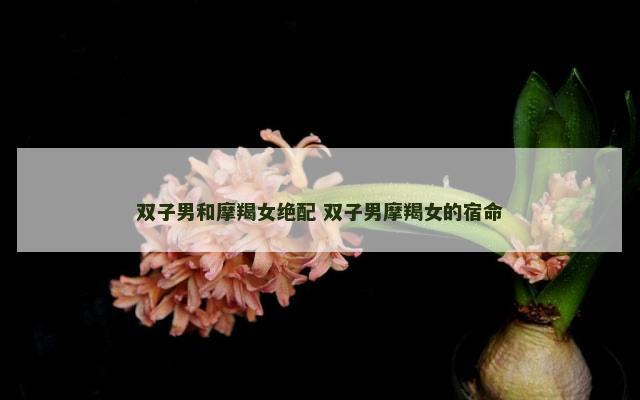 双子男和摩羯女绝配 双子男摩羯女的宿命