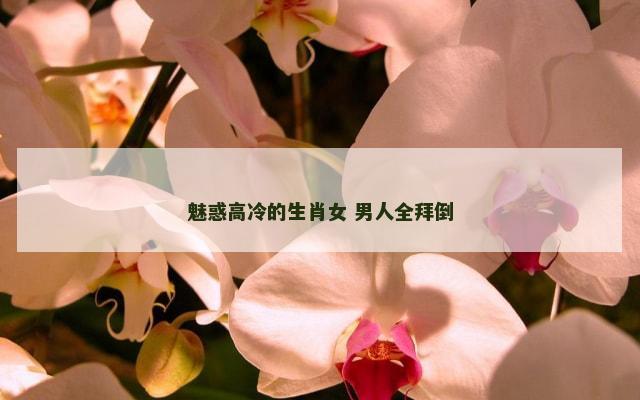 魅惑高冷的生肖女 男人全拜倒