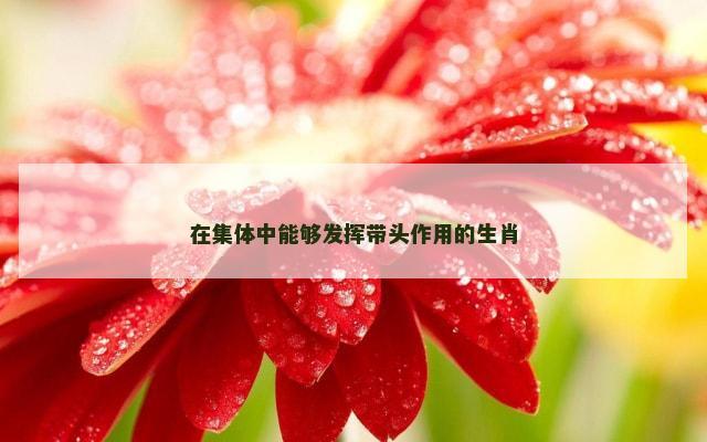 在集体中能够发挥带头作用的生肖