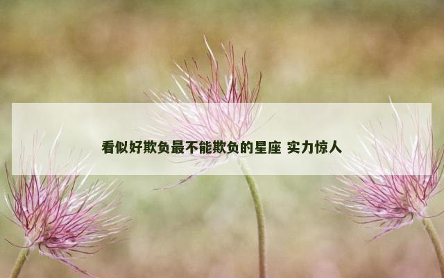 看似好欺负最不能欺负的星座 实力惊人