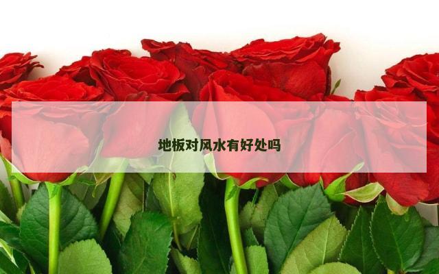 地板对风水有好处吗