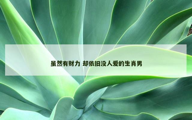 虽然有财力 却依旧没人爱的生肖男