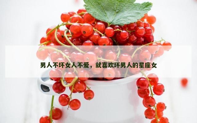 男人不坏女人不爱，就喜欢坏男人的星座女