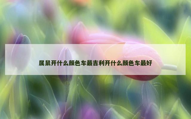 属鼠开什么颜色车最吉利开什么颜色车最好