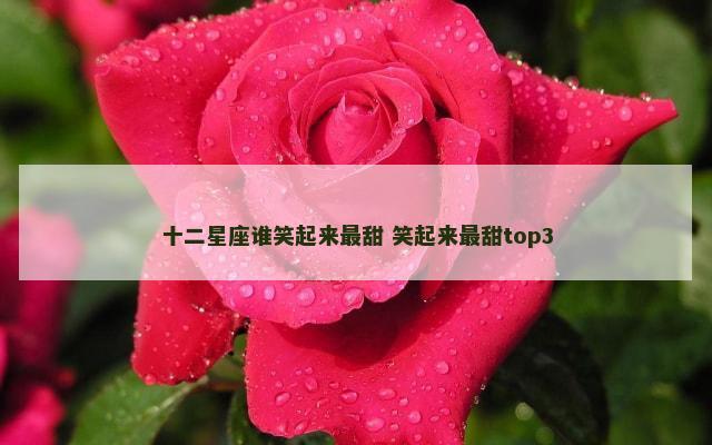 十二星座谁笑起来最甜 笑起来最甜top3