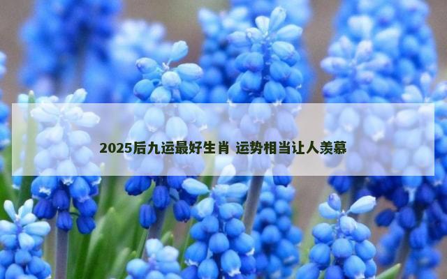 2025后九运最好生肖 运势相当让人羡慕