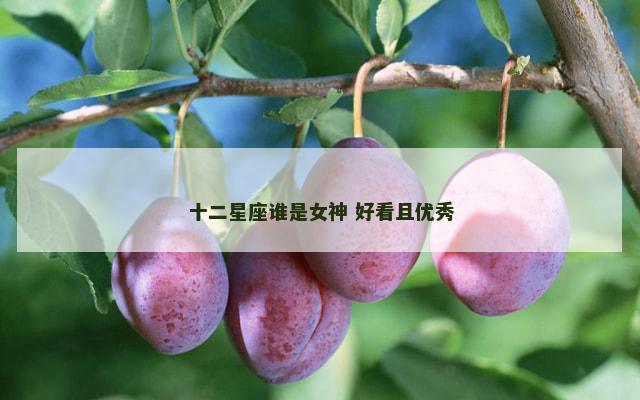 十二星座谁是女神 好看且优秀