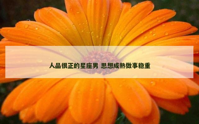 人品很正的星座男 思想成熟做事稳重