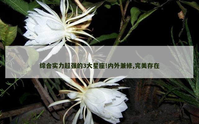综合实力超强的3大星座!内外兼修,完美存在