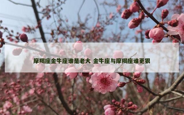 摩羯座金牛座谁是老大 金牛座与摩羯座谁更狠