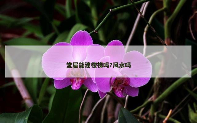 堂屋能建楼梯吗?风水吗