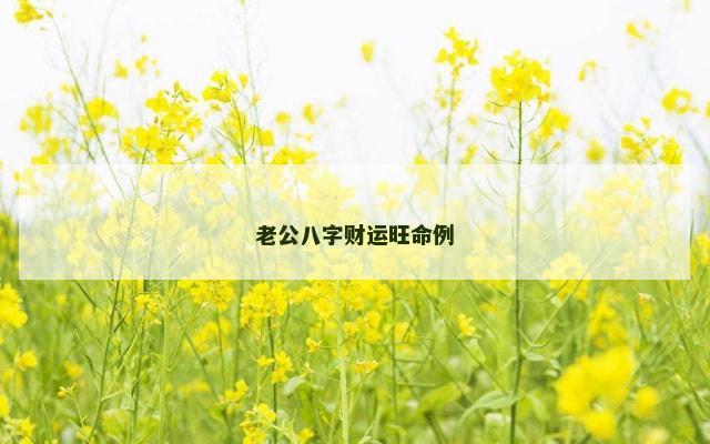 老公八字财运旺命例