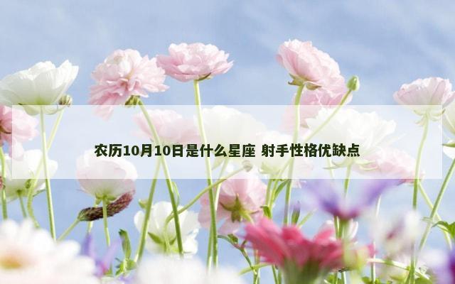 农历10月10日是什么星座 射手性格优缺点