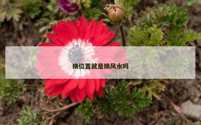 换位置就是换风水吗